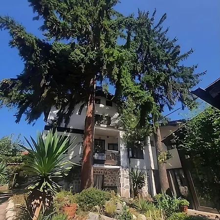 Dvata Smurcha - Free Parking * 班斯科