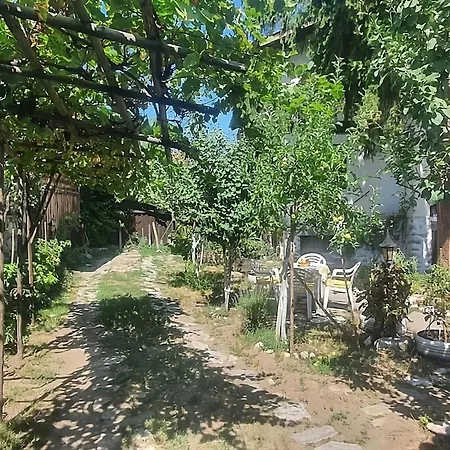 Dvata Smurcha - Free Parking