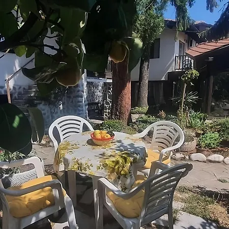 Dvata Smurcha - Free Parking *