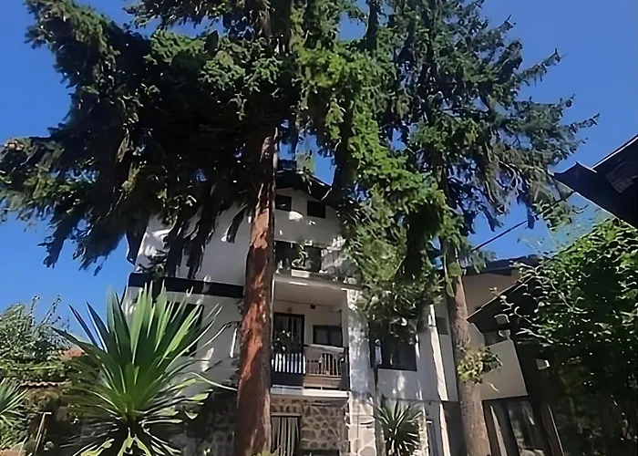 Dvata Smurcha - Free Parking * 반스코